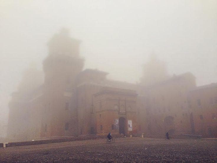 Ferrara’s fogshire