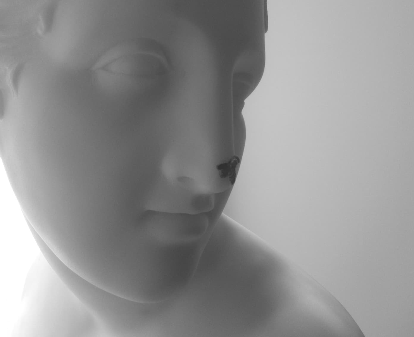 Vesta e il camino